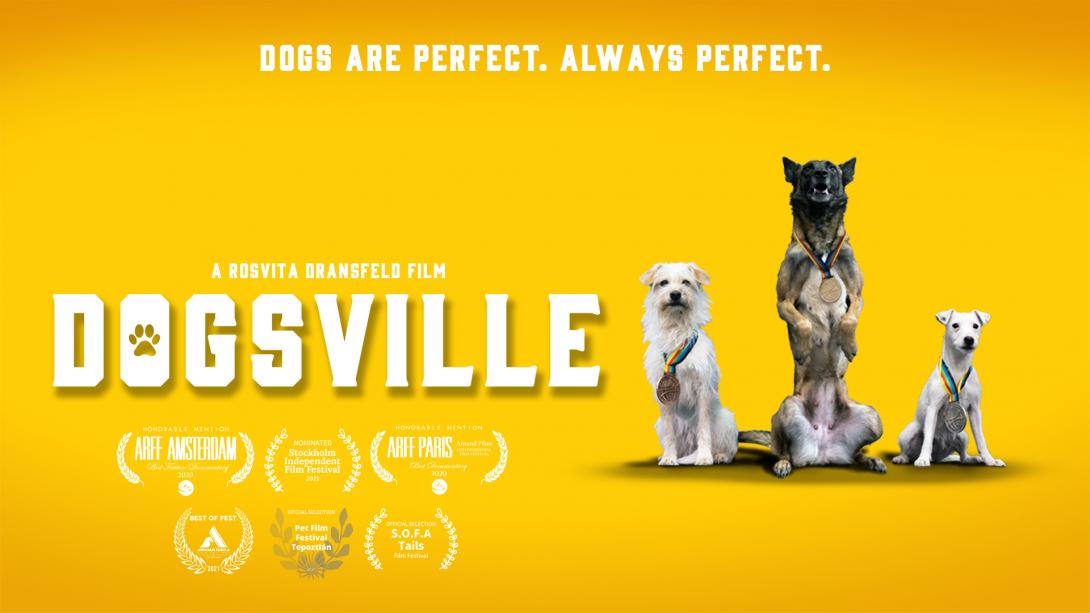Dogsville movie poster with title, accolades and three dogs with medals on a yellow background. 