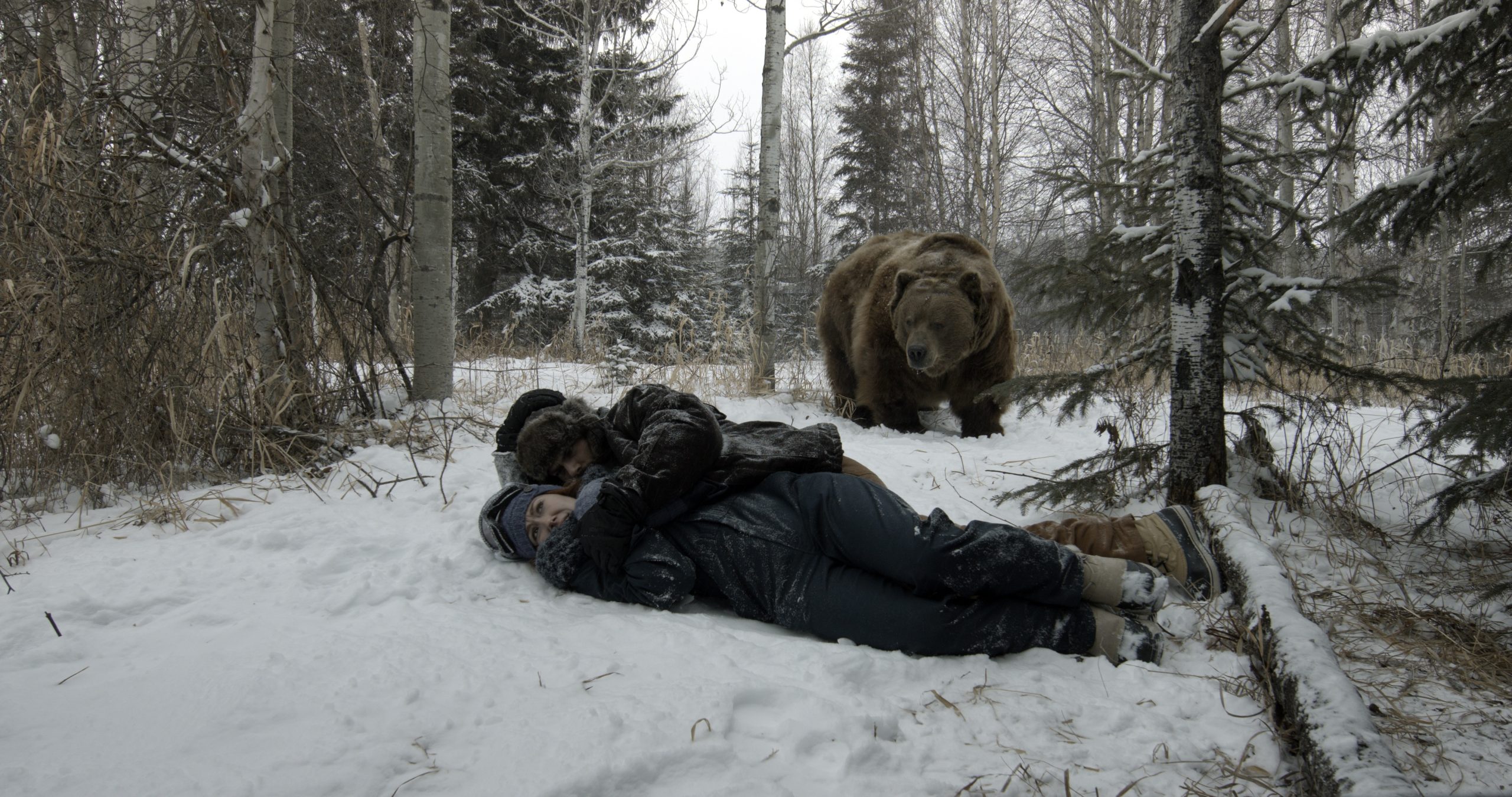 A movie scene with 2 men wrestling in a snowy forest, with a brown bear approaching them