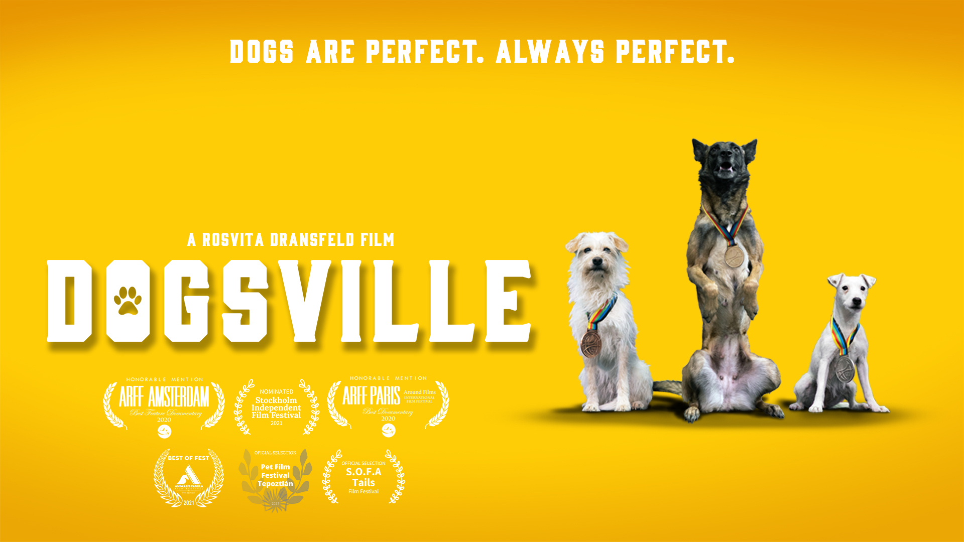 A movie poster for Dogville with 3 dogs and a list of accolades.