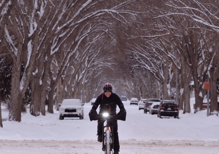 A man in a parka rides a bicycle under a canopy of snow-covered trees on a snowy street lined with parked cars.