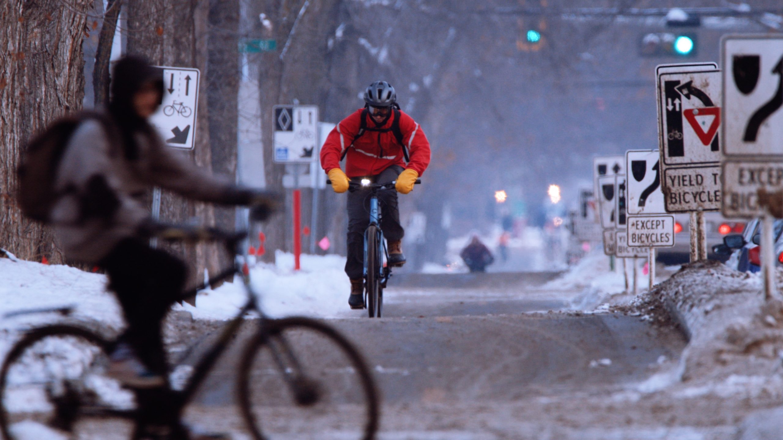 Cyclists in winter parkas ride in a bike lane lined with trees and road signs.