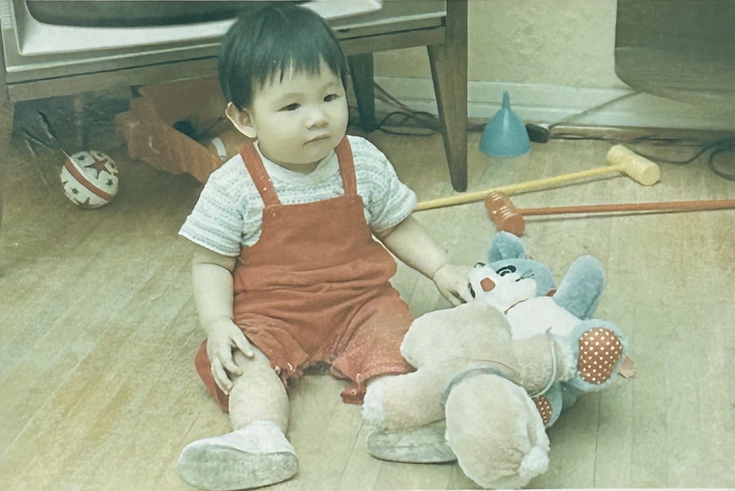 A toddler in a red romper sits on the floor in front of a late 1960s-model TV with two stuffed animals at his feet.