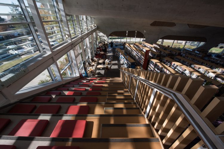 Inside the Jasper Place Public Library bathed in sunshine