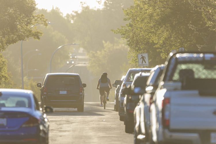 Cyclist on a neighbourhood street on a summer day