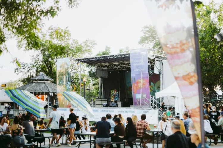 A stage in Dr. Wilbert McIntyre Park set up for Fringe Festival
