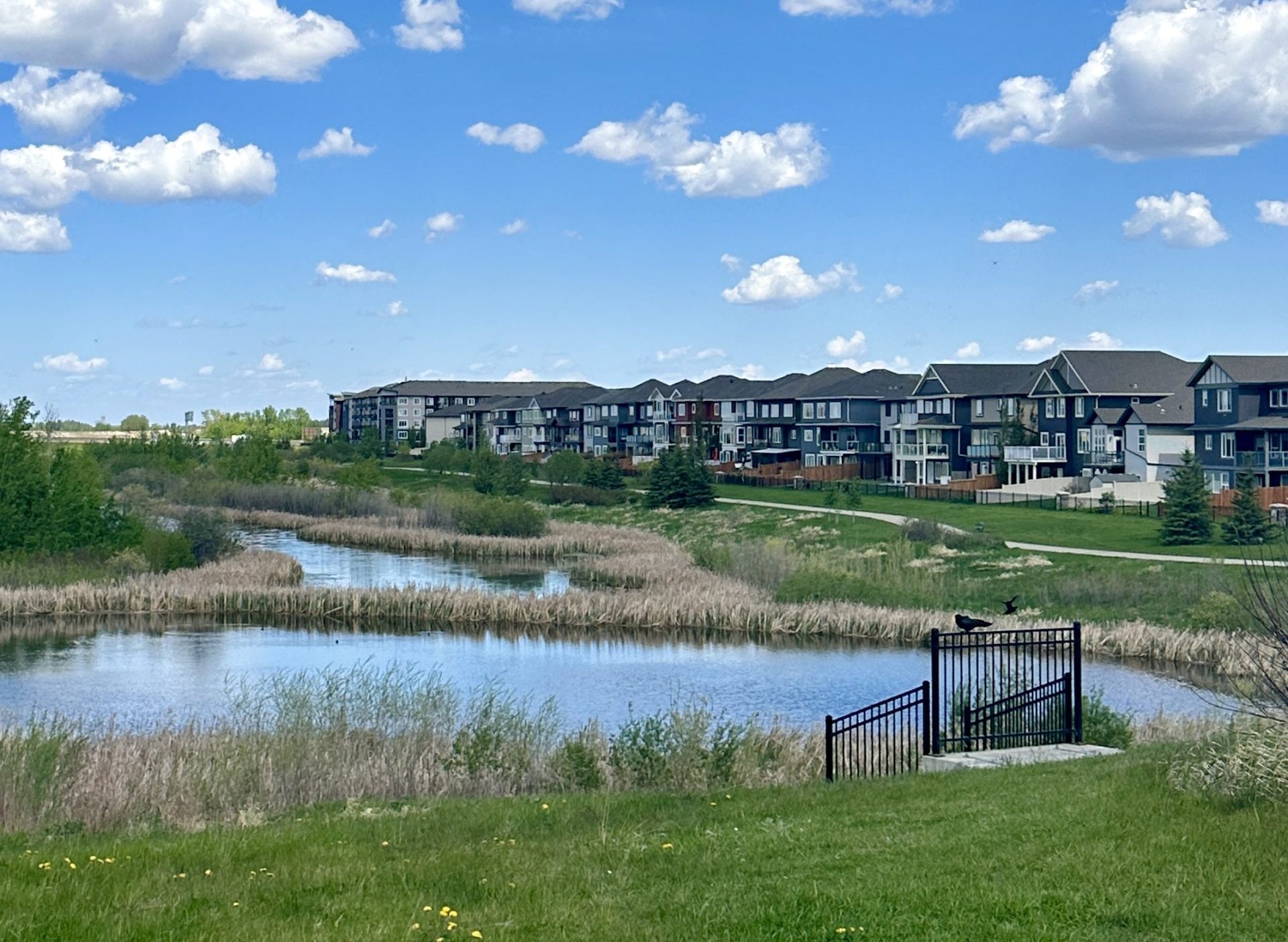 Houses line the east side of a marsh and park.