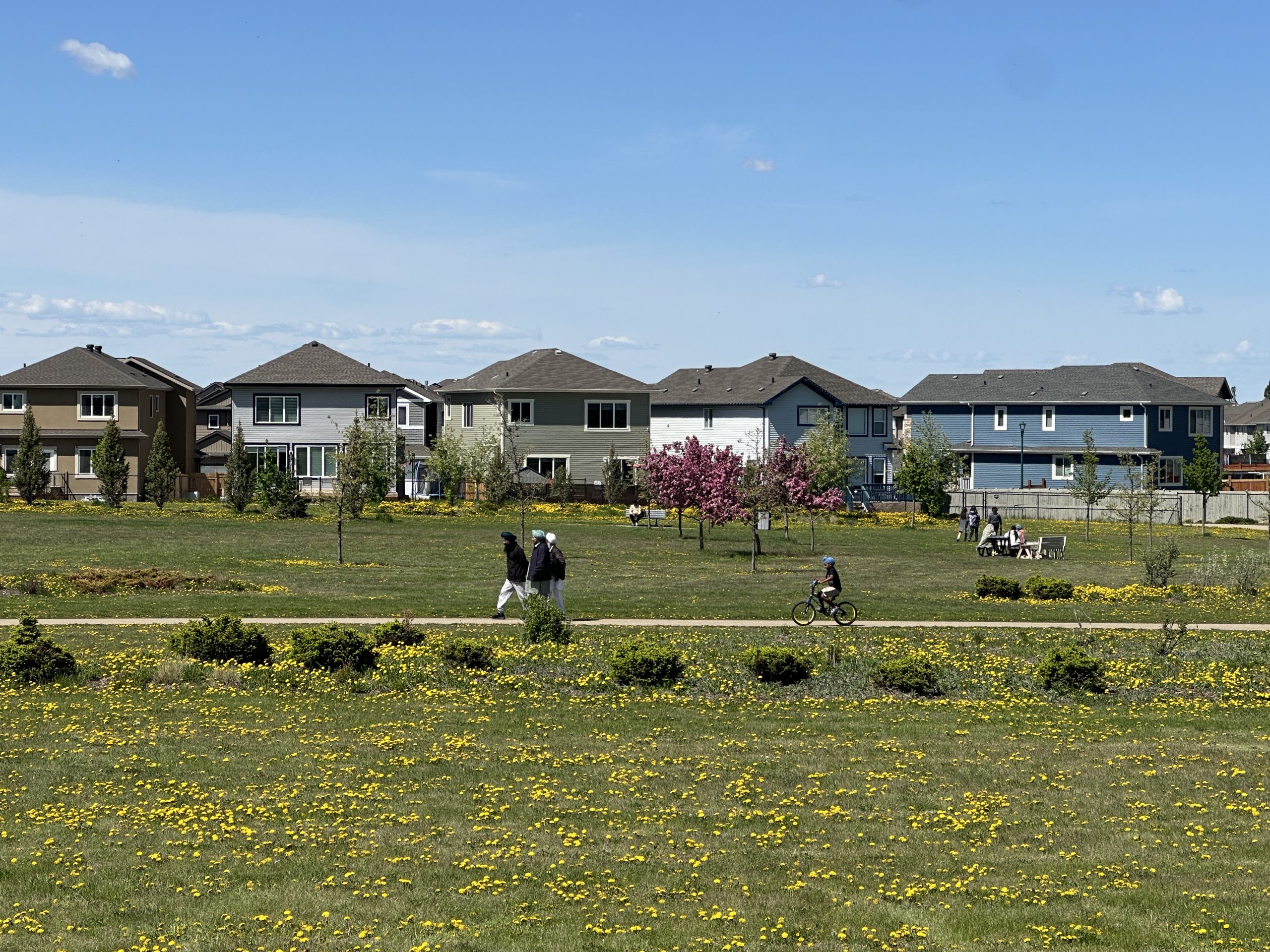 A boy rides his bike behind three men who are walking along a path in a park next several homes.