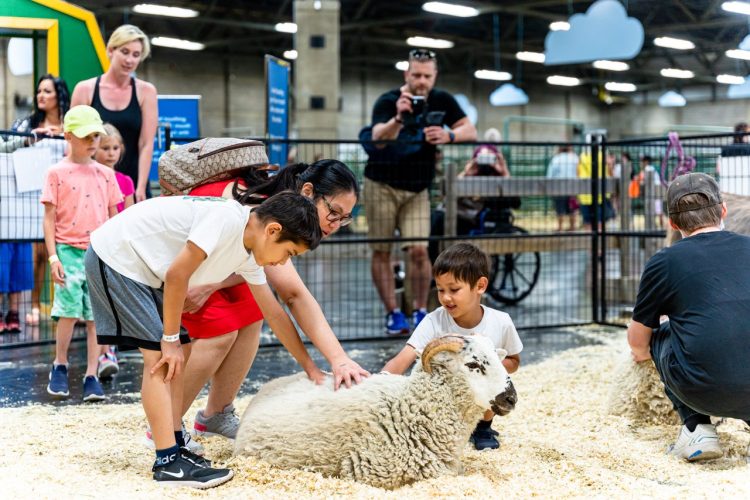 Three children petting a sheep in an indoor petting zoo, with other families watching and taking pictures.