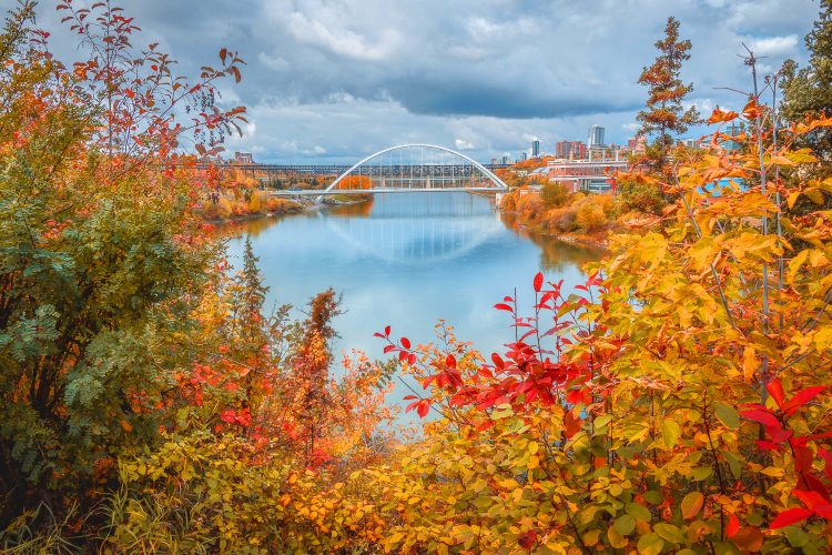 Walterdale Bridge in the fall viewed from skunk hollow. The image has been edited to make the colours more vibrant.