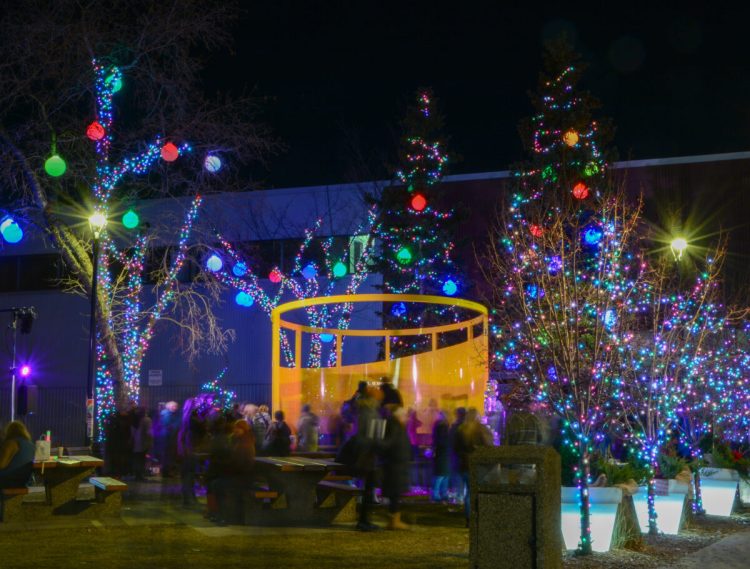 Guests walking through a small park filled with decorated, lit up trees at night.