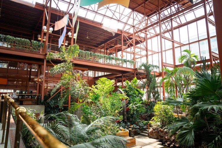 The inside of an open two story building with a glass panel ceiling and large, diverse plants.