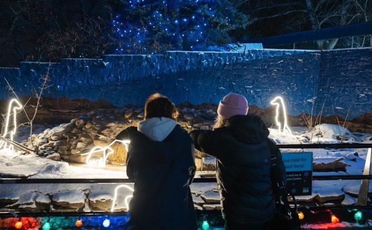 Two people looking at a holiday light display of penguins on a winter night.