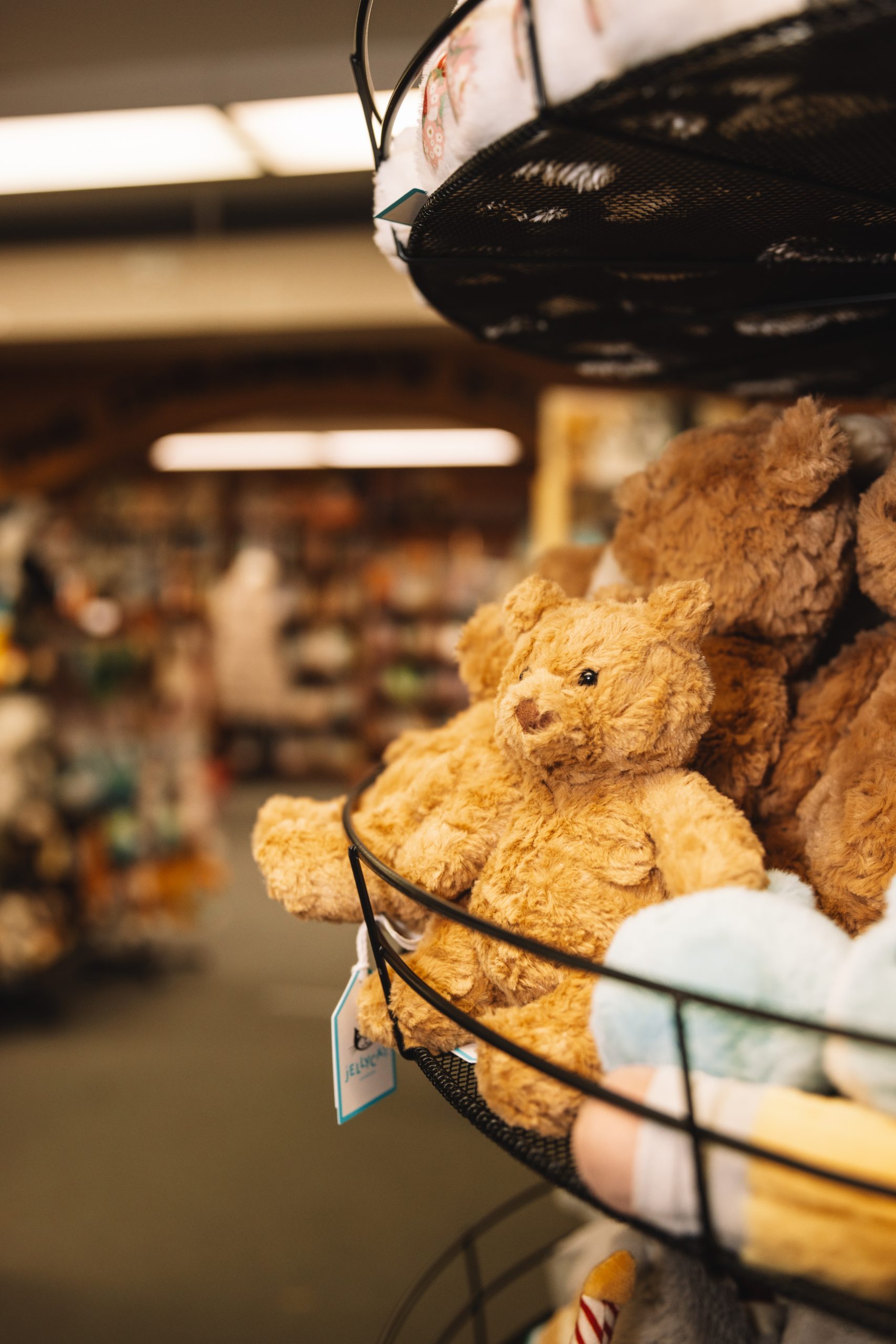 A rack of teddy bears stands near some bookshelves.