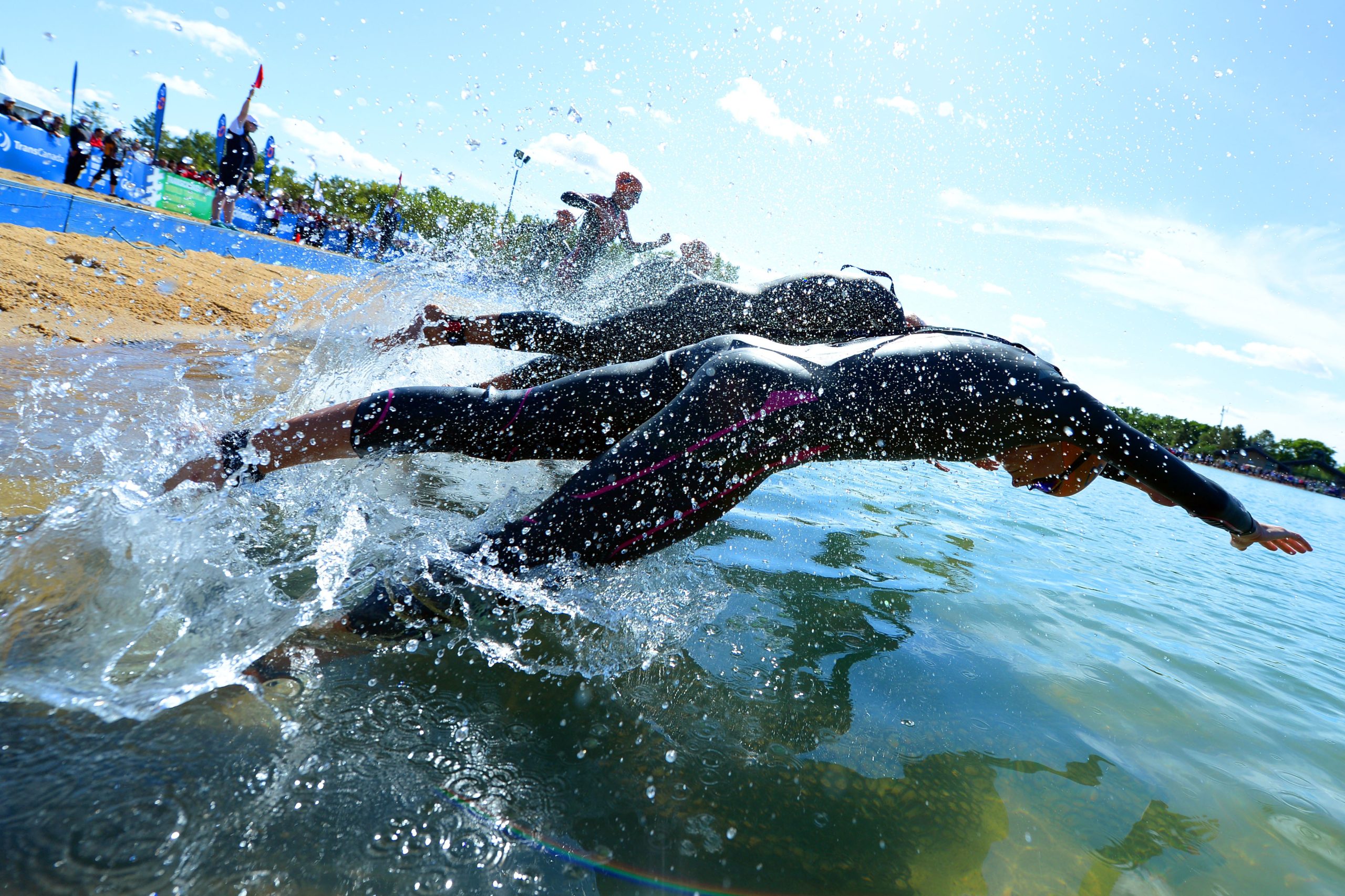 A group of triathletes dive into the water from the shores of a sandy beach.