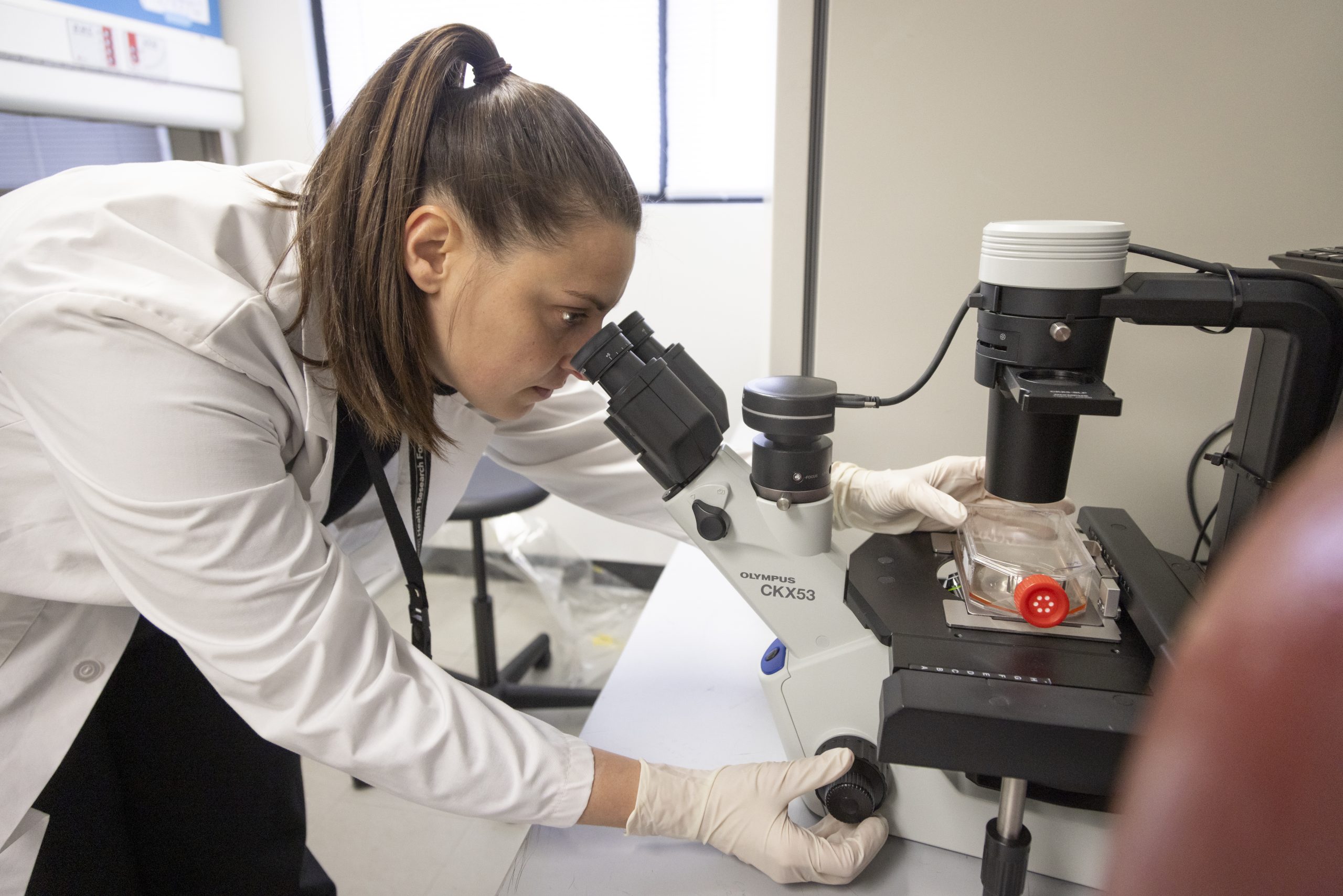 An API staff member looking into a microscope