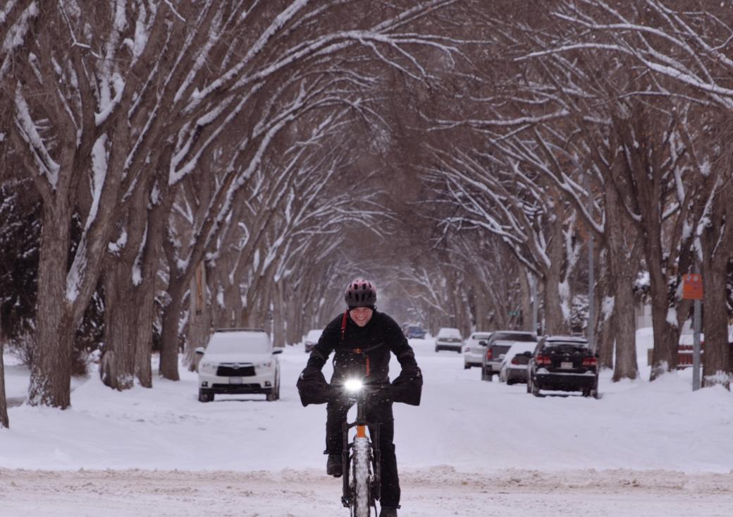 A man in a parka rides a bicycle under a canopy of snow-covered trees on a snowy street lined with parked cars. 