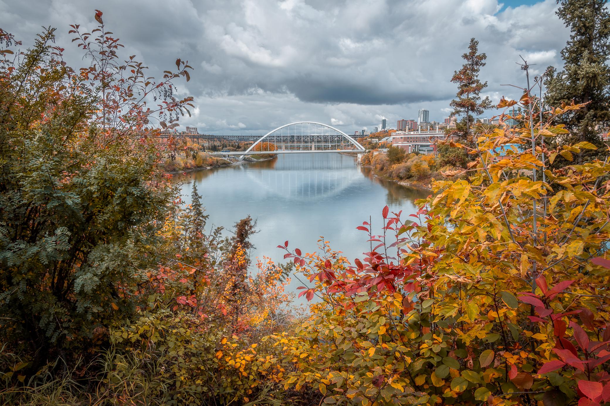 The river and Walterdale Bridge are framed by trees with fall leaves. 